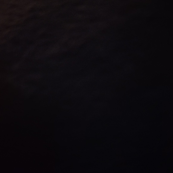 Meet your Posher, Tucker - Picture 1 of 1